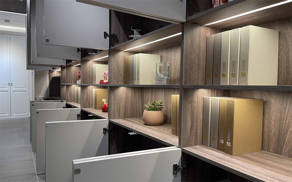 BEVITOR·伟德国际钻石客户KD定制家居 始于颜值 终于品质