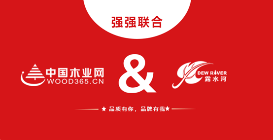 强强联合 BEVITOR·伟德国际和中国木业网达成战略合作